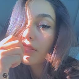 burcubird