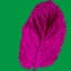pinkmint