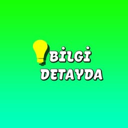 BilgiDetayda