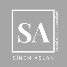 sasconsultant 