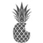 Pineappleᵀᴹ