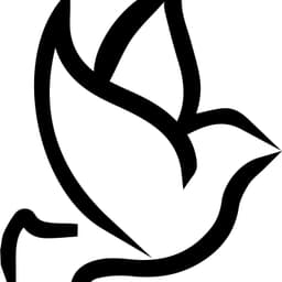 Bitasarim58