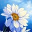 graphic@designer 
