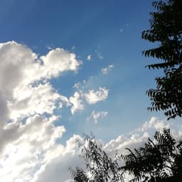 Zeynp_016 