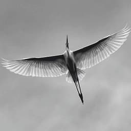 ᵈᵉᶻᶻᶤᶰᵍᵃʳᵗ