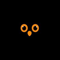 Owl ART