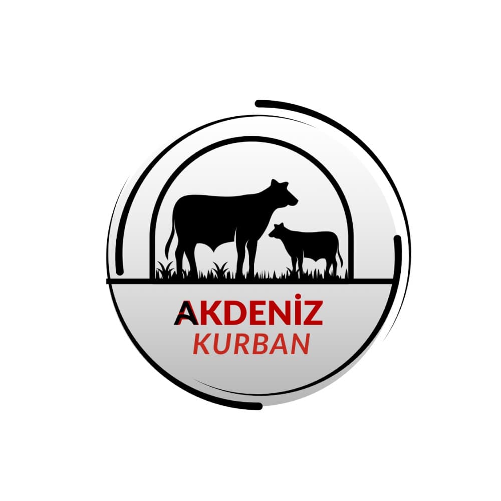Tasarım #51